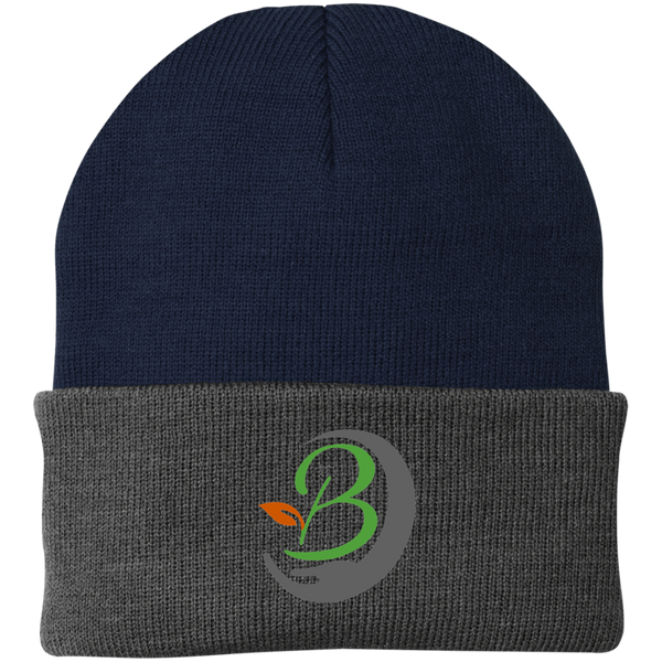 The Brothers Knit Cap